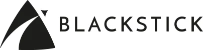 Black Stick Ltd - Professional PCB Design Consultancy
